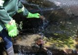 south africa: transforming a polluted river