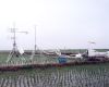 korea: flux monitoring over a rice paddy