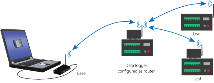 base to data logger router to leaf