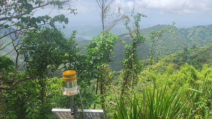 measuring rainfall in Puerto Rico