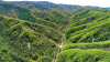 Fig. 1. Les trois tours facilitant les études sur l'écologie et la gestion de la forêt sur le bassin versant de la forêt de Qingyuan CERN (China Ecology Research Network, Chinese Academy of Sciences) sont situées dans trois sites forestiers classés comme forêt naturelle mixte à feuilles caduques (la tour la plus proche à gauche), forêt naturelle de chênes de Mongolie (la tour droite), et forêt plantée en mélèze (la tour la plus lointaine). Les trois forêts représentent les trois principaux types d'écosystèmes forestiers secondaires du nord-est de la Chine.