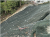 The Site 3 slope at the CNFL Anonos Facility being held by 130 soil nail anchors<br />Image courtesty of the University of Costa Rica (UCR), José Andrés Fitoria, and Álvaro Pérez