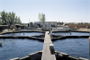 A Campbell Scientific system continually monitors and controls water quality in each of 12 individual tanks at the Stolt Sea Farm facility in Elk Grove, California. The tanks house sturgeon, raised to produce premium caviar.