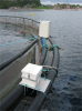 Typical installation at a fish farm