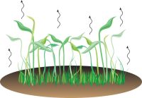 evapotranspiration：它是什么以及它是如何帮助的