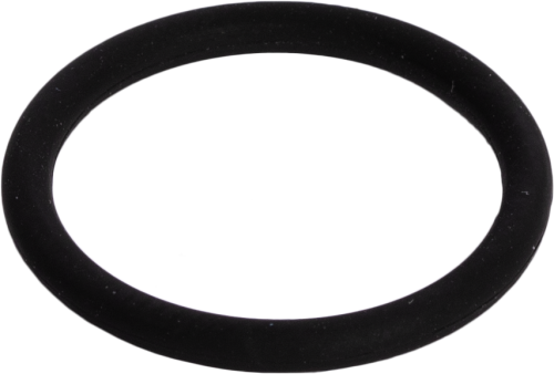 21861 O-Ring .625 ID .070 Wide