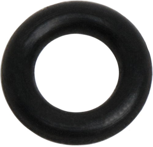 21759 Replacement O-Ring for the CS110 