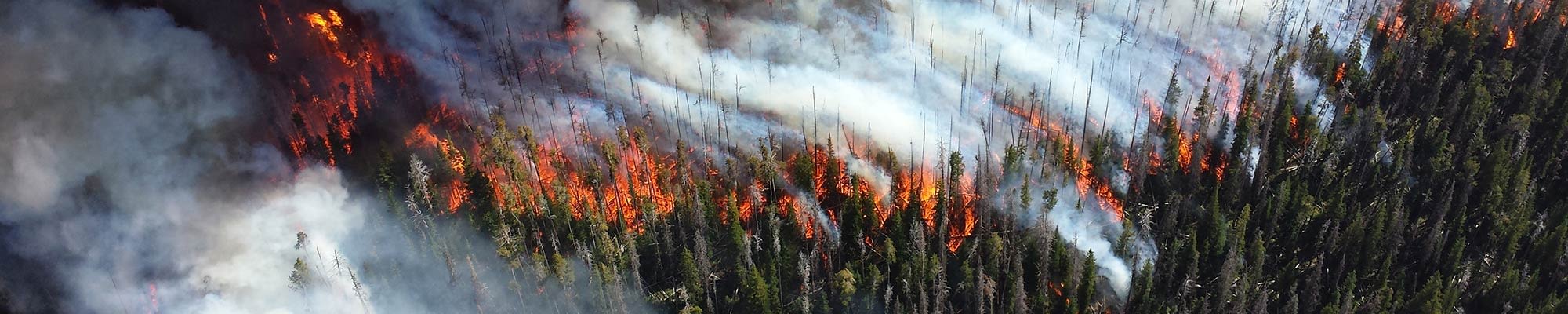 Incendies de forêt Stations météo ou systèmes personnalisés pour l'étude et la préventions des incendies